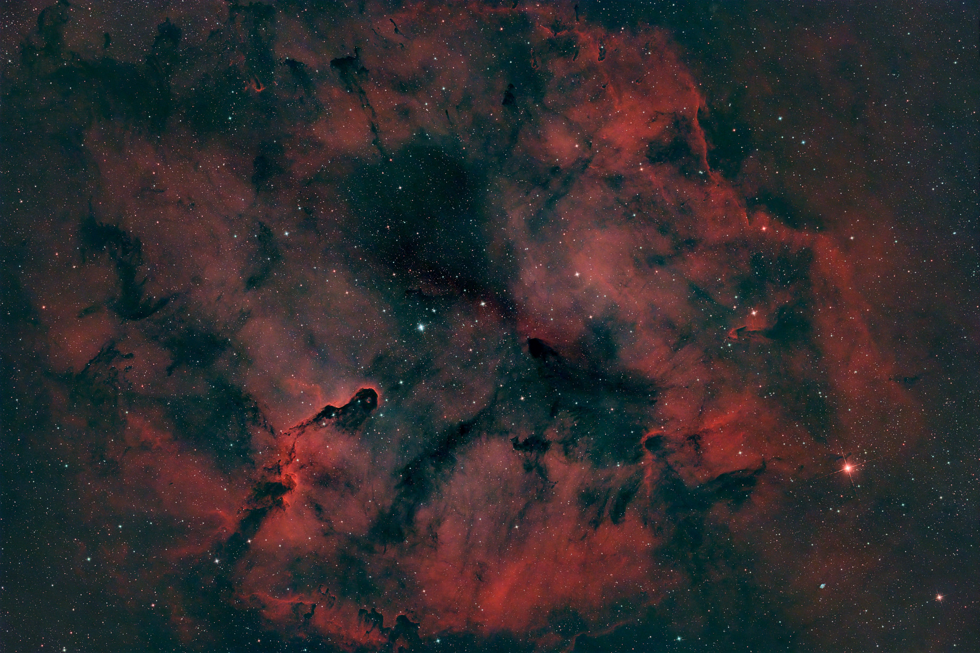 Der Elefantenrüssel Nebel IC 1396A ist eine hell berandete Globule, also eine Ansammlung von interstellarem Gas und Staub im Sternbild Kepheus. Er ist etwa 2400 Lichtjahre von der Erde entfernt.